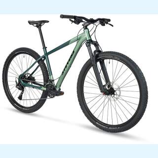 Stevens MTB Taniwha 29" Rh.:18" Frozen Green 25