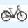 Stevens E-Courier 6.5.1 Plus Forma Gates 27 Rh.:46 Ash Grey 180kg