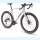 Stevens Gravel Cross Camino RS Pro DI2 26 2x12G GRX 825 Rh.:58 Cool Grey